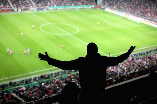 football fan at stadium