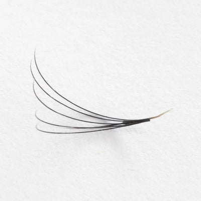 Why eyelash extensions keep falling out